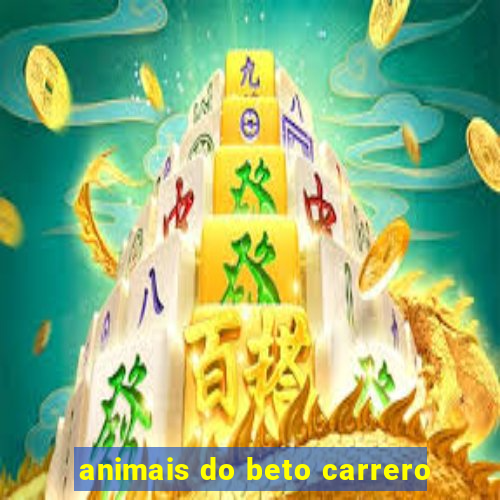 animais do beto carrero